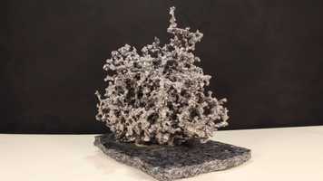 Free download Anthill Casting video and edit with RedcoolMedia movie maker MovieStudio video editor online and AudioStudio audio editor onlin