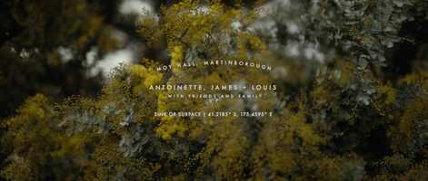Free download Antoinette, James + Louis | Moments, Moy Hall. Martinborough video and edit with RedcoolMedia movie maker MovieStudio video editor online and AudioStudio audio editor onlin