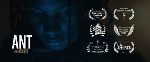 Free download ANT - Teaser video and edit with RedcoolMedia movie maker MovieStudio video editor online and AudioStudio audio editor onlin