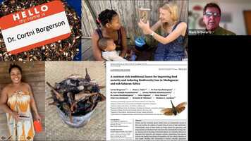 Free download A nutrient-rich traditional insect for improving food security + reducing biodiversity loss in Madagascar and sub-Saharan Africa video and edit with RedcoolMedia movie maker MovieStudio video editor online and AudioStudio audio editor onlin