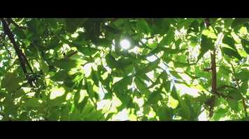 Free download ANYWHERE - Far Movies video and edit with RedcoolMedia movie maker MovieStudio video editor online and AudioStudio audio editor onlin