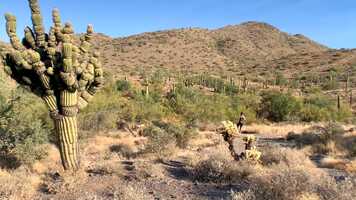 Free download AOP_Film_Narrative_DesertArena_SaraBabic-Sternberg_2nd video and edit with RedcoolMedia movie maker MovieStudio video editor online and AudioStudio audio editor onlin