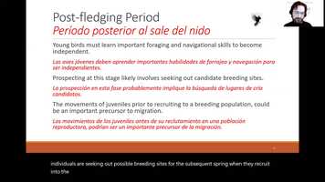 Free download AOS21-(130303) The role of testosterone in regulating the movement behaviours of juvenile migrant songbirds video and edit with RedcoolMedia movie maker MovieStudio video editor online and AudioStudio audio editor onlin