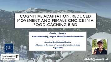 Free download AOS21-(310403) Cognitive adaptation reduced movement and female choice along a montane gradient in a food-caching bird video and edit with RedcoolMedia movie maker MovieStudio video editor online and AudioStudio audio editor onlin
