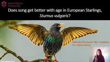 Free download AOS21-(410501) Do male European Starlings advertise age through song video and edit with RedcoolMedia movie maker MovieStudio video editor online and AudioStudio audio editor onlin