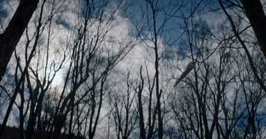 Free download A Parable For Winter | Trailer #1 video and edit with RedcoolMedia movie maker MovieStudio video editor online and AudioStudio audio editor onlin