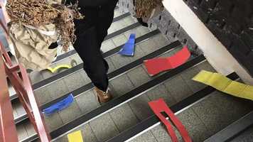 Free download A Party In Form And Colour Pixelated Animation video and edit with RedcoolMedia movie maker MovieStudio video editor online and AudioStudio audio editor onlin