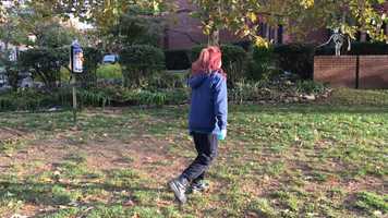 Free download A Piece of Leaf_Shu_Wang_Trailer video and edit with RedcoolMedia movie maker MovieStudio video editor online and AudioStudio audio editor onlin