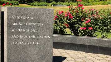 Free download A Place of Life video and edit with RedcoolMedia movie maker MovieStudio video editor online and AudioStudio audio editor onlin