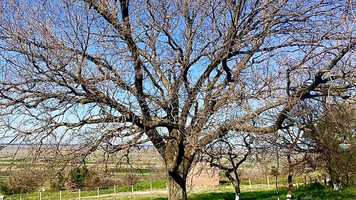 Free download Apollonia Archaeological Park video and edit with RedcoolMedia movie maker MovieStudio video editor online and AudioStudio audio editor onlin