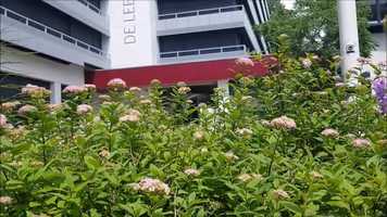 Free download Apollo Pre-AID film video and edit with RedcoolMedia movie maker MovieStudio video editor online and AudioStudio audio editor onlin