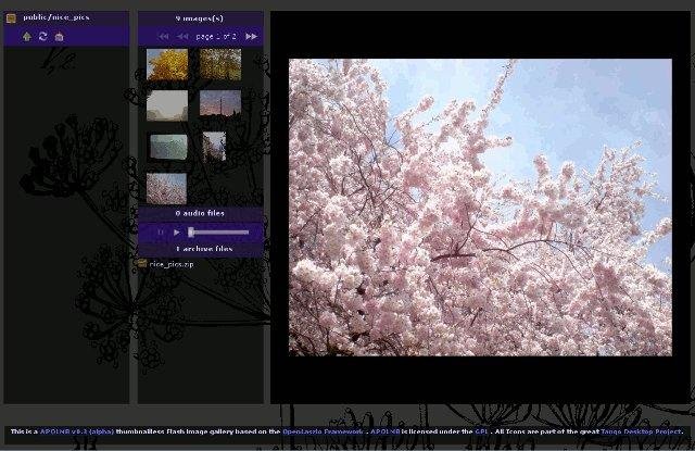 Download web tool or web app Apolmb Media Viewer