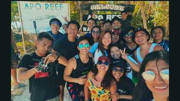 Free download apo reef fun dive video and edit with RedcoolMedia movie maker MovieStudio video editor online and AudioStudio audio editor onlin