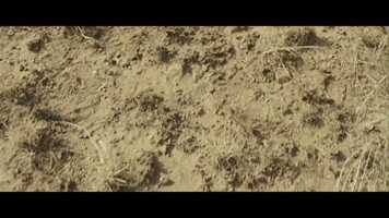 Free download Applied Music Technology - Jamie Holmes video and edit with RedcoolMedia movie maker MovieStudio video editor online and AudioStudio audio editor onlin