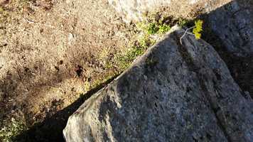 Free download April Forest video and edit with RedcoolMedia movie maker MovieStudio video editor online and AudioStudio audio editor onlin