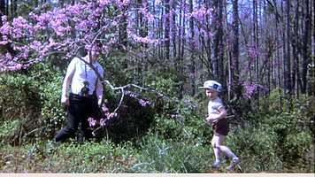 Free download apr-may 1968movie video and edit with RedcoolMedia movie maker MovieStudio video editor online and AudioStudio audio editor onlin