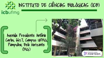 Free download APROXIMAO A UFMG video and edit with RedcoolMedia movie maker MovieStudio video editor online and AudioStudio audio editor onlin