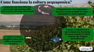 Free download Aquaponics farming: how it works video and edit with RedcoolMedia movie maker MovieStudio video editor online and AudioStudio audio editor onlin