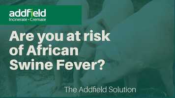 Free download Are you at risk of African Swine Fever video and edit with RedcoolMedia movie maker MovieStudio video editor online and AudioStudio audio editor onlin