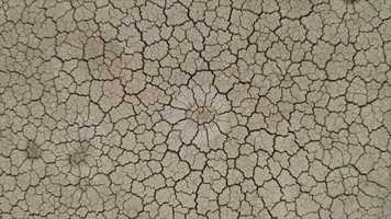 Free download Arlington, Virginia B-Epic Direct Elev8 Avid Weight Loss Management | Opening: CO CA AR AZ AK AL WY | video and edit with RedcoolMedia movie maker MovieStudio video editor online and AudioStudio audio editor onlin