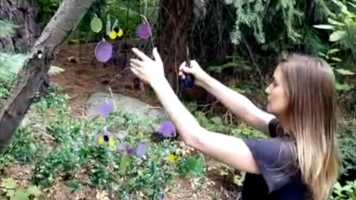 Free download Art and Movement: Mobile Sculptures of Kristen Pobatschnig video and edit with RedcoolMedia movie maker MovieStudio video editor online and AudioStudio audio editor onlin