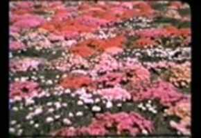 Free download Arthur H. Smith - Fairland Days video and edit with RedcoolMedia movie maker MovieStudio video editor online and AudioStudio audio editor onlin