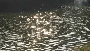 Free download Art of Documentary (Music Video) video and edit with RedcoolMedia movie maker MovieStudio video editor online and AudioStudio audio editor onlin