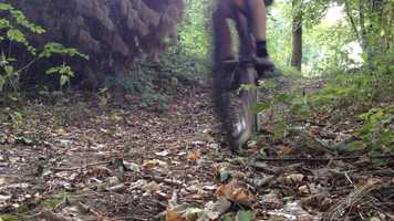 Free download Asas de Falcao - Vinaa + Sensebike video and edit with RedcoolMedia movie maker MovieStudio video editor online and AudioStudio audio editor onlin