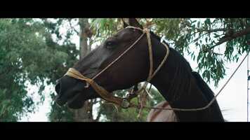 Free download A School in Cerro Hueso - Trailer video and edit with RedcoolMedia movie maker MovieStudio video editor online and AudioStudio audio editor onlin