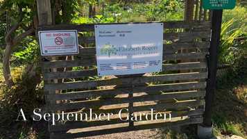 Free download A September Garden - Elisabeth Rogers Community Garden, Vancouver B.C video and edit with RedcoolMedia movie maker MovieStudio video editor online and AudioStudio audio editor onlin