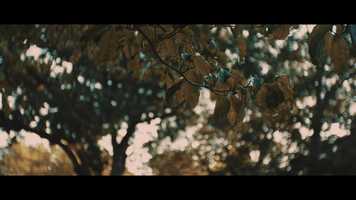 Free download Ashley Bagamary Photography video and edit with RedcoolMedia movie maker MovieStudio video editor online and AudioStudio audio editor onlin