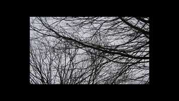 Free download A short shot video and edit with RedcoolMedia movie maker MovieStudio video editor online and AudioStudio audio editor onlin