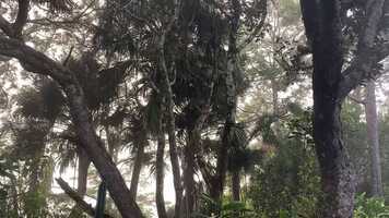 Free download ASI Film 5: Trou Aux Cerfs video and edit with RedcoolMedia movie maker MovieStudio video editor online and AudioStudio audio editor onlin