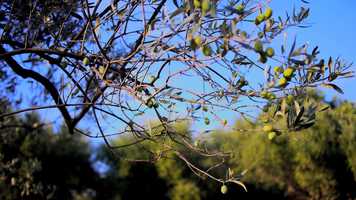 Free download AsimpleLife (Trailer_EN_GR) video and edit with RedcoolMedia movie maker MovieStudio video editor online and AudioStudio audio editor onlin