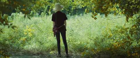 Free download A Siren Calls video and edit with RedcoolMedia movie maker MovieStudio video editor online and AudioStudio audio editor onlin