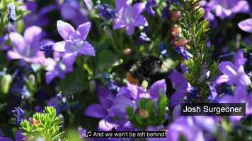 Free download A Small Cup of Tea 2 video and edit with RedcoolMedia movie maker MovieStudio video editor online and AudioStudio audio editor onlin