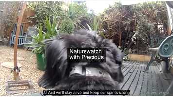 Free download A Small Cup of Tea 4 video and edit with RedcoolMedia movie maker MovieStudio video editor online and AudioStudio audio editor onlin