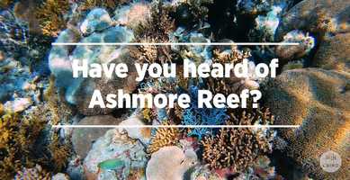 Free download A snap shot of Ashmore Reef Marine Park video and edit with RedcoolMedia movie maker MovieStudio video editor online and AudioStudio audio editor onlin