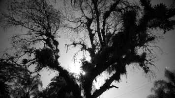 Free download A SOL traça seu próprio caminho pela vida - Linha Ciclismo 2021 video and edit with RedcoolMedia movie maker MovieStudio video editor online and AudioStudio audio editor onlin