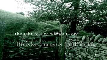 Free download A Song Of Love video and edit with RedcoolMedia movie maker MovieStudio video editor online and AudioStudio audio editor onlin