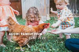 Free download Asoni Family Film video and edit with RedcoolMedia movie maker MovieStudio video editor online and AudioStudio audio editor onlin