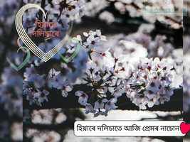 Free download Assamese songs 1_HD video and edit with RedcoolMedia movie maker MovieStudio video editor online and AudioStudio audio editor onlin