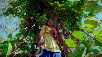 Free download  assim que nos levantamos (Maya Angelou) | FIDA video and edit with RedcoolMedia movie maker MovieStudio video editor online and AudioStudio audio editor onlin