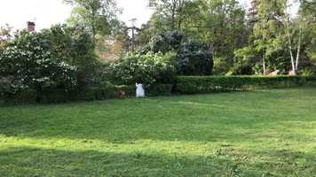 Free download A Stockholm Minute 26/5 2019 (episode 428) video and edit with RedcoolMedia movie maker MovieStudio video editor online and AudioStudio audio editor onlin