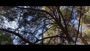 Free download ASTRO WORLD - THE END video and edit with RedcoolMedia movie maker MovieStudio video editor online and AudioStudio audio editor onlin