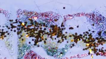 Free download Atelier Pellicule Anime  Champigny-sur-Marne video and edit with RedcoolMedia movie maker MovieStudio video editor online and AudioStudio audio editor onlin