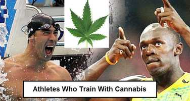 Free download Athletes Using Cannabis Seem to Do Well in Life video and edit with RedcoolMedia movie maker MovieStudio video editor online and AudioStudio audio editor onlin