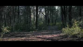 Free download Atlas (Short Edit) video and edit with RedcoolMedia movie maker MovieStudio video editor online and AudioStudio audio editor onlin