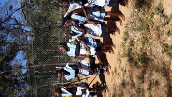 Free download At Sikato Lion Park video and edit with RedcoolMedia movie maker MovieStudio video editor online and AudioStudio audio editor onlin