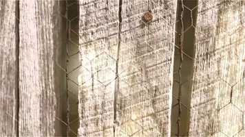 Free download Audio Earth (Offical Music Video) video and edit with RedcoolMedia movie maker MovieStudio video editor online and AudioStudio audio editor onlin